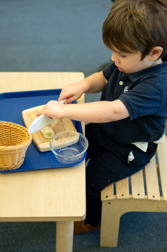 Toddler House Curriculum